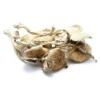 Amazonian Magic Mushrooms