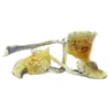 B+ Cubensis Magic Mushrooms