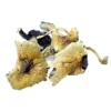 Brazilian Magic Mushrooms