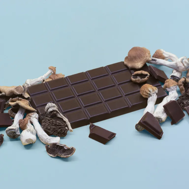 Shroom Chocolate Bars