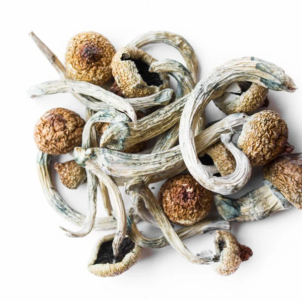 Magic Mushrooms UK
