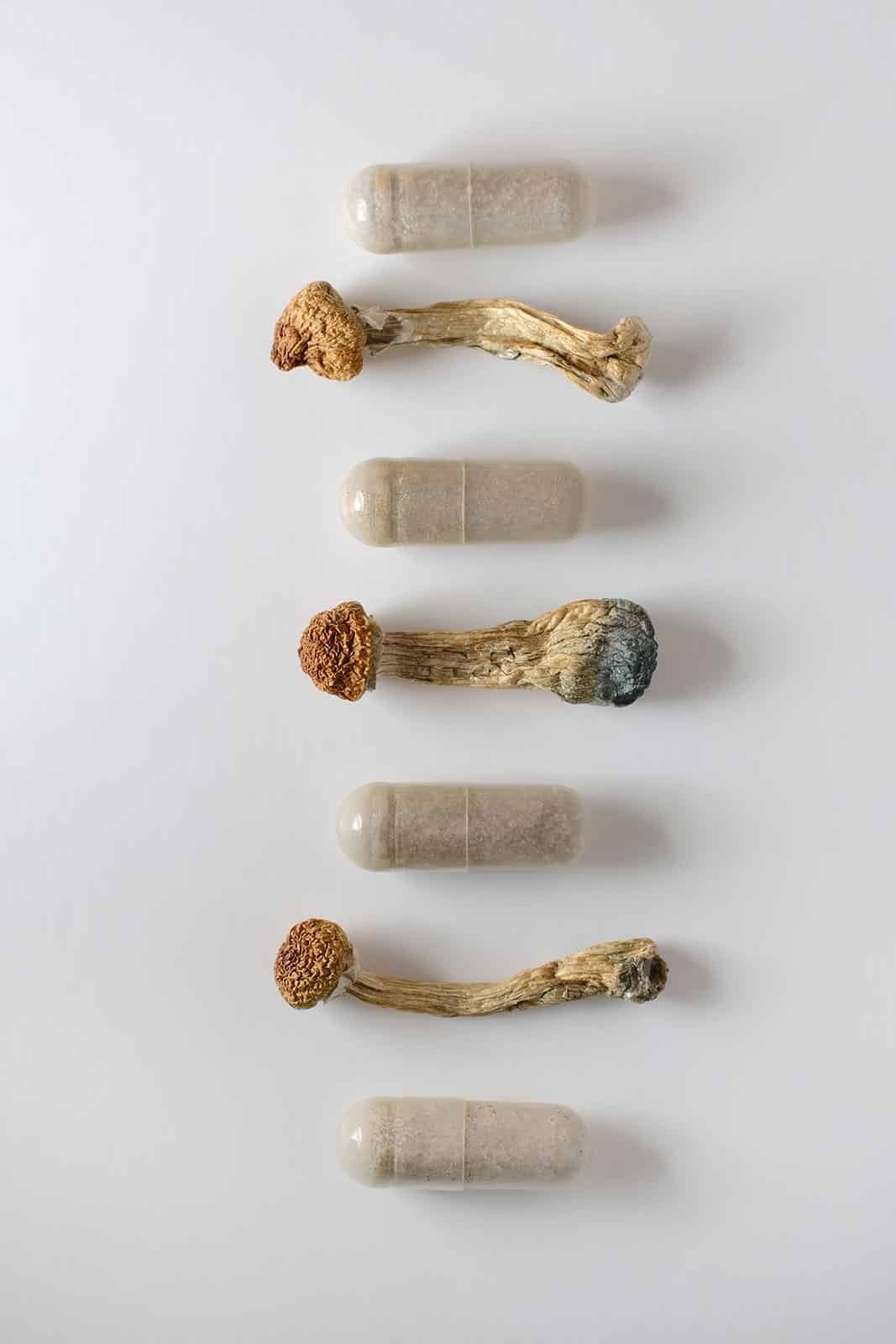 Magic Mushrooms UK